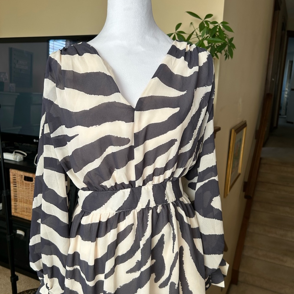 H&M Grey and Cream Zebra Long Sheer Sleeve Dress